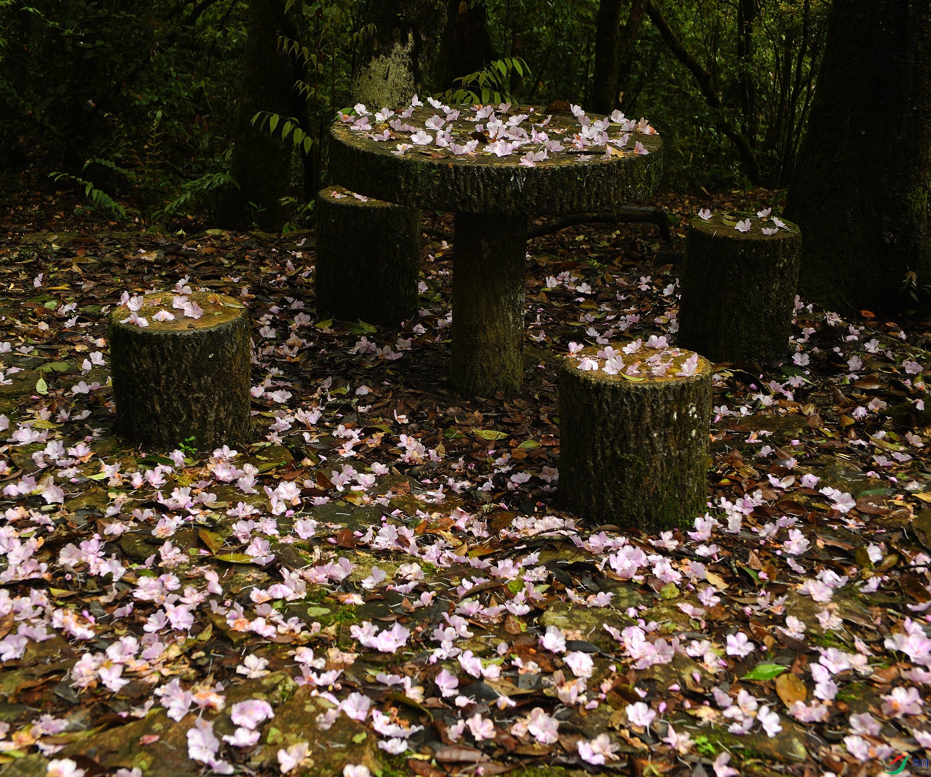DSC_9776.jpg