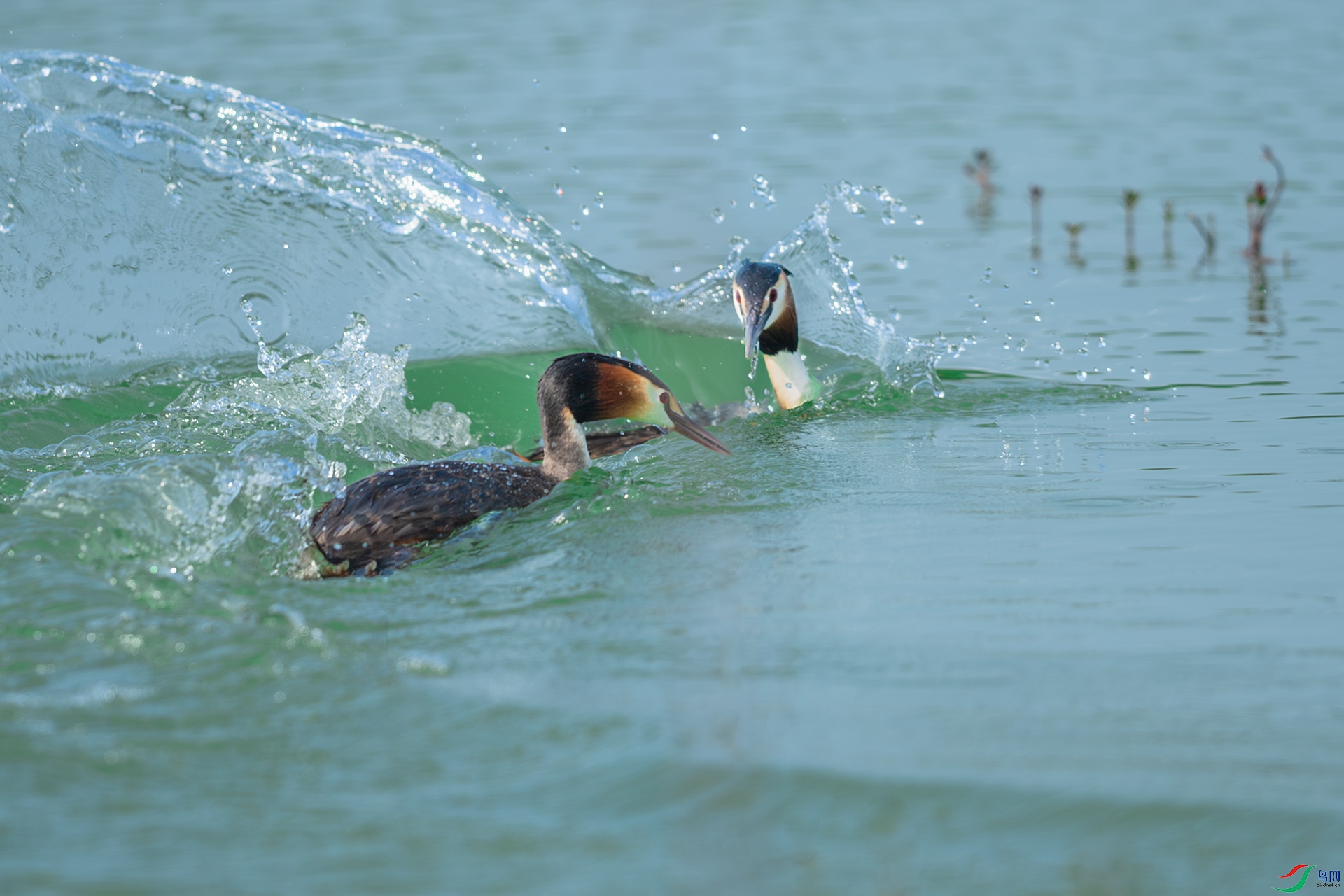 DSC_5249.jpg