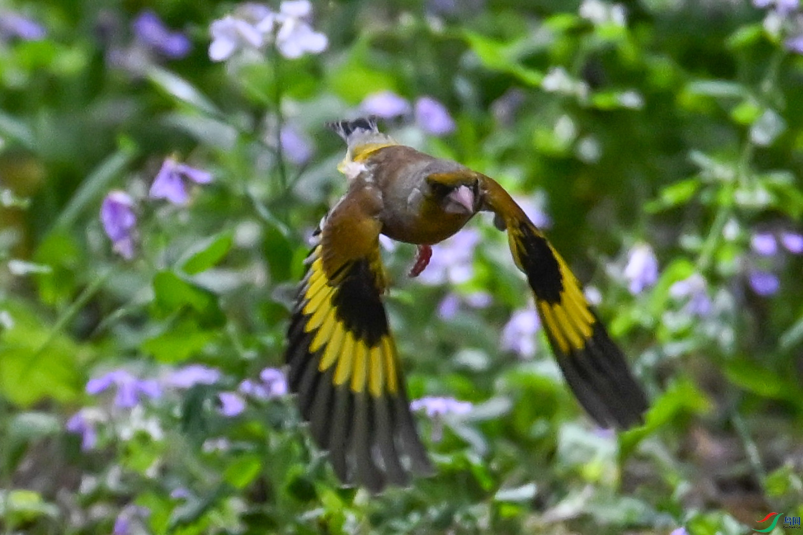 DSC_6894_2.jpg