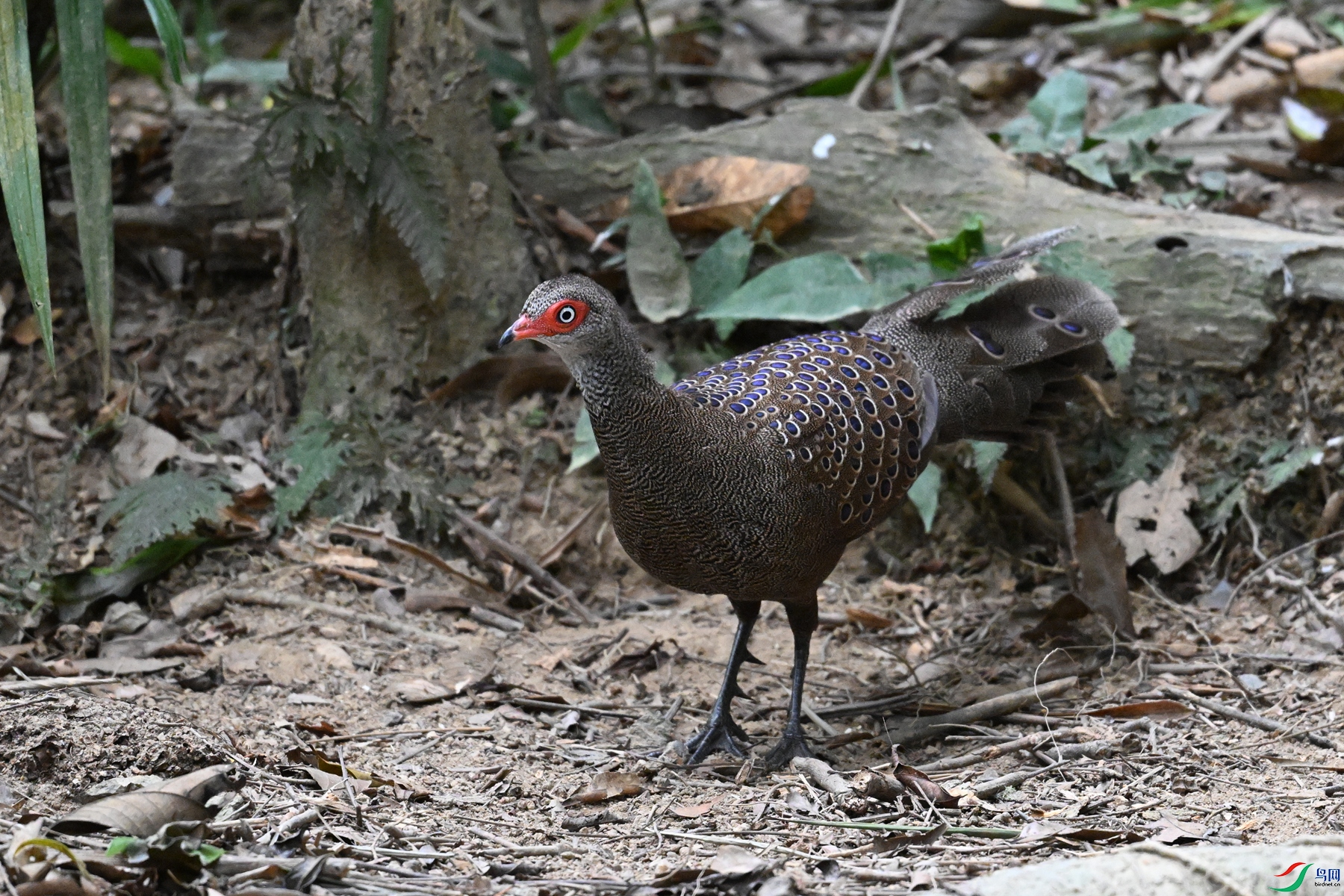 DSC_7541.JPG