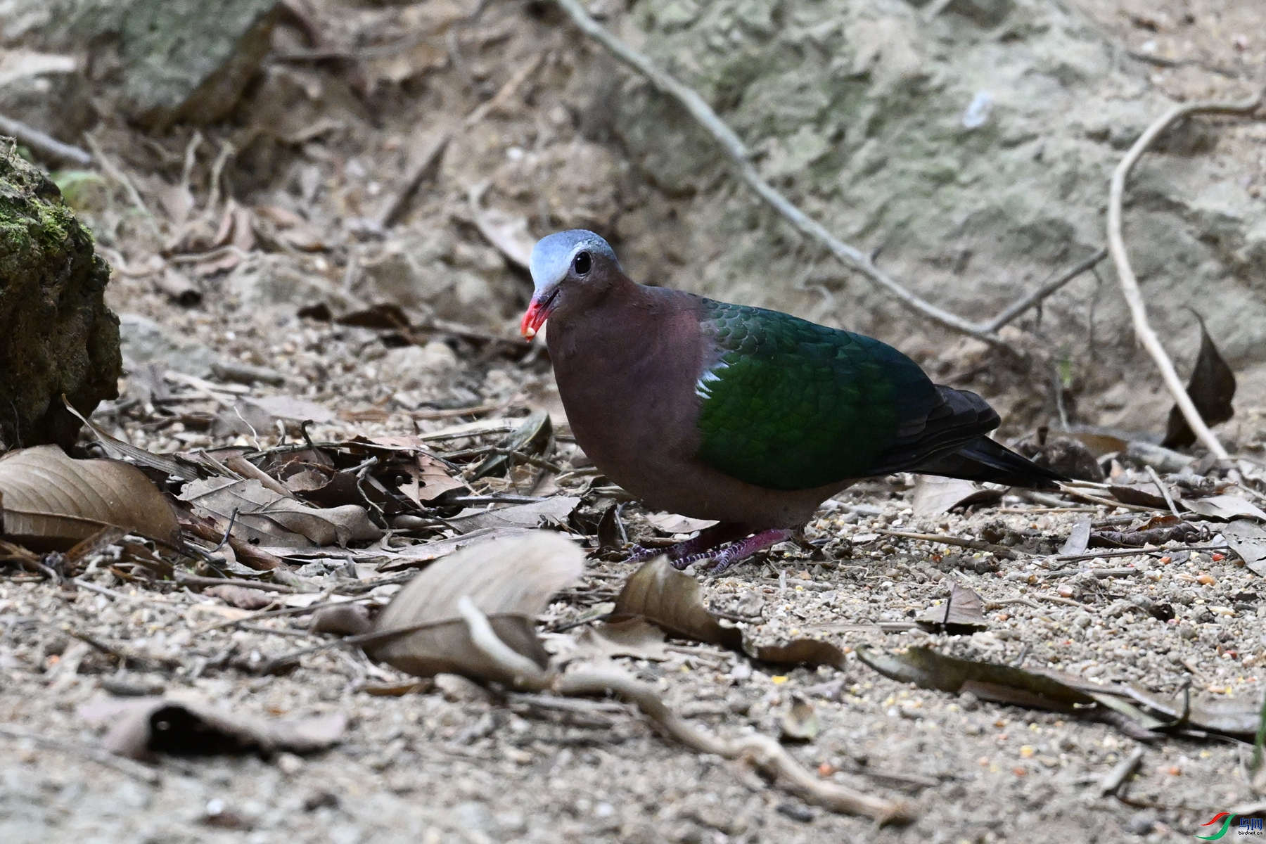 DSC_7536.JPG