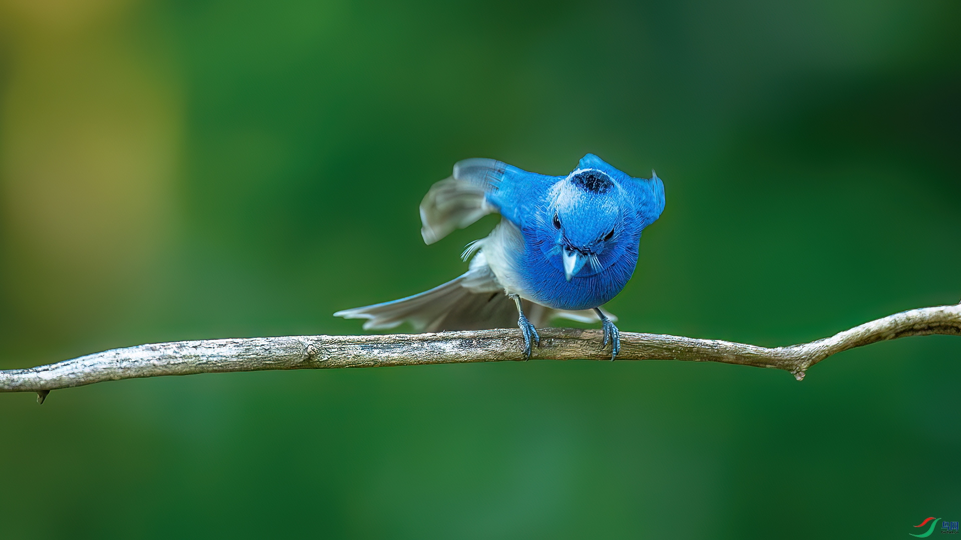 DSC_3722-����ǿ-NR.jpg