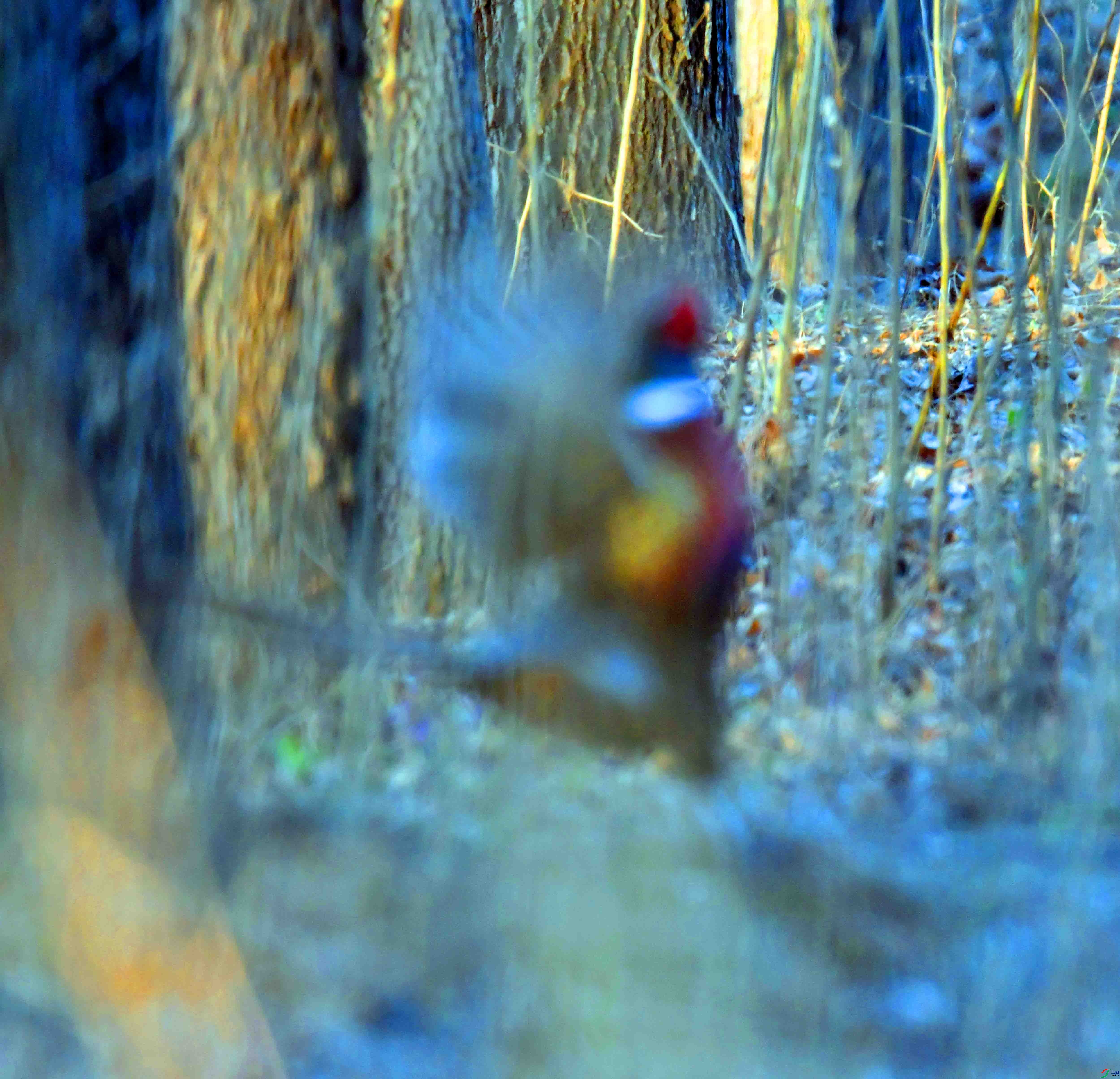 DSC_0652.JPG