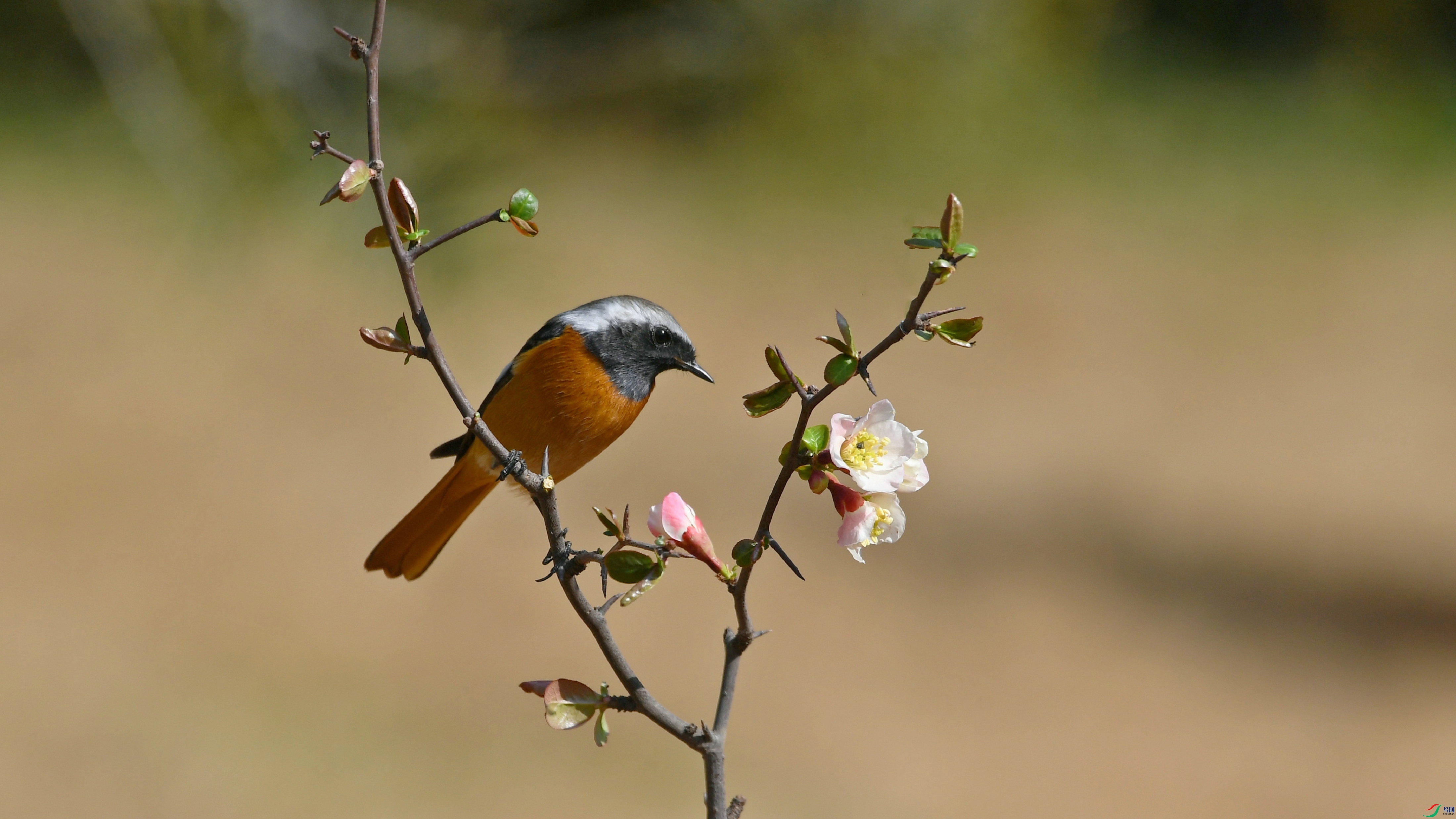 DSC_6481.JPG