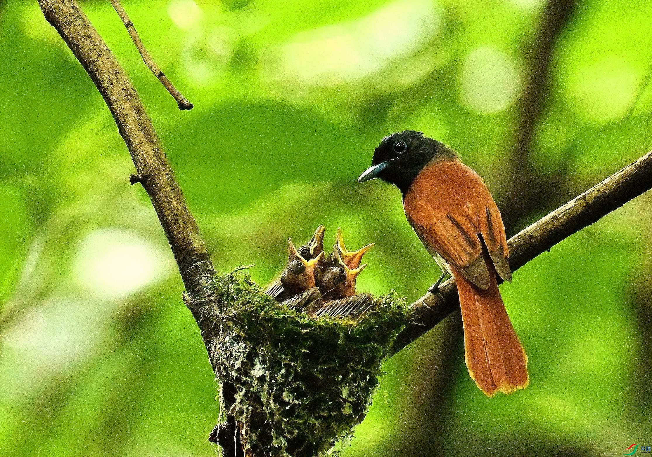 DSC_9994.JPG