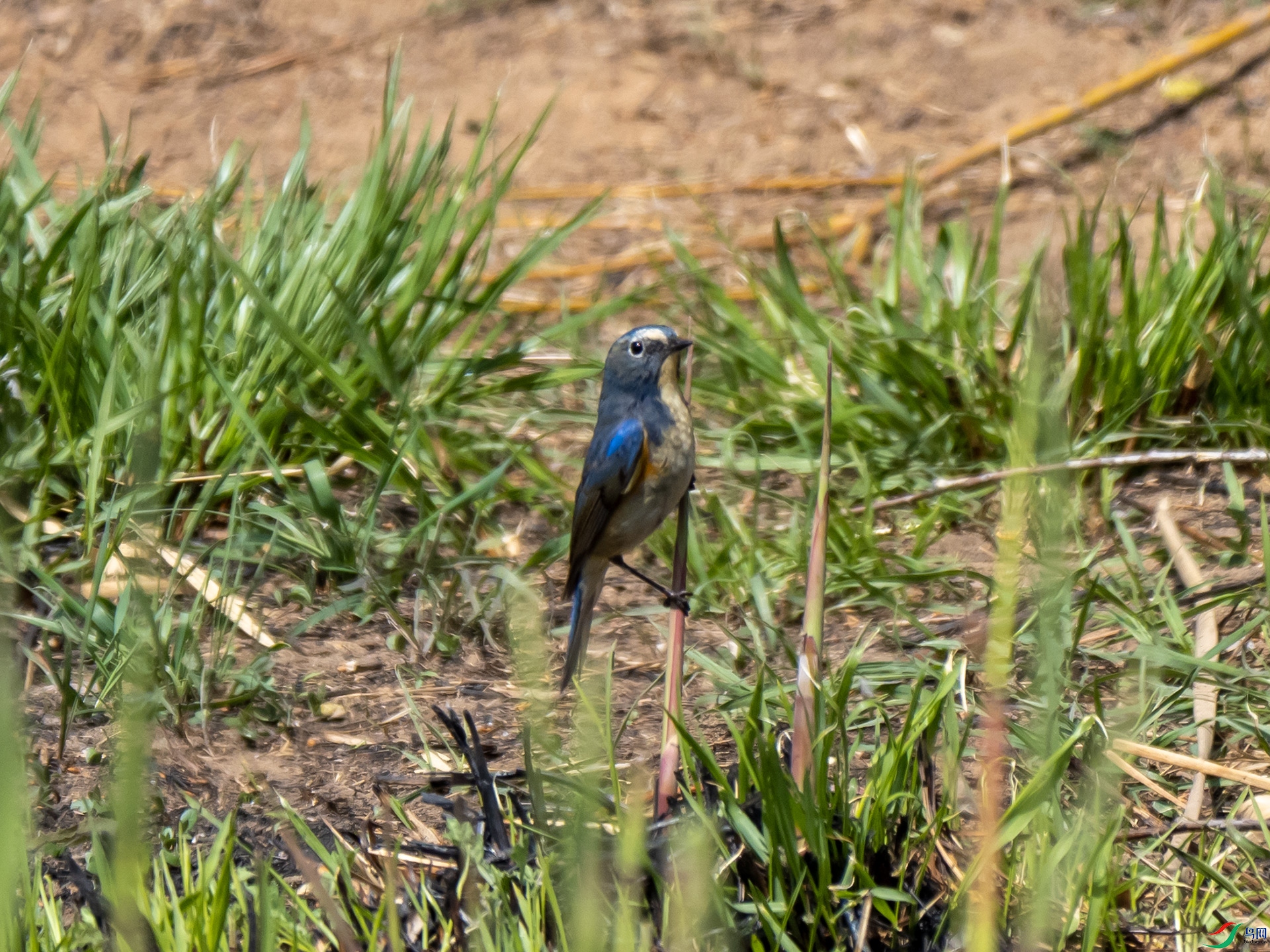 P4013702.jpg