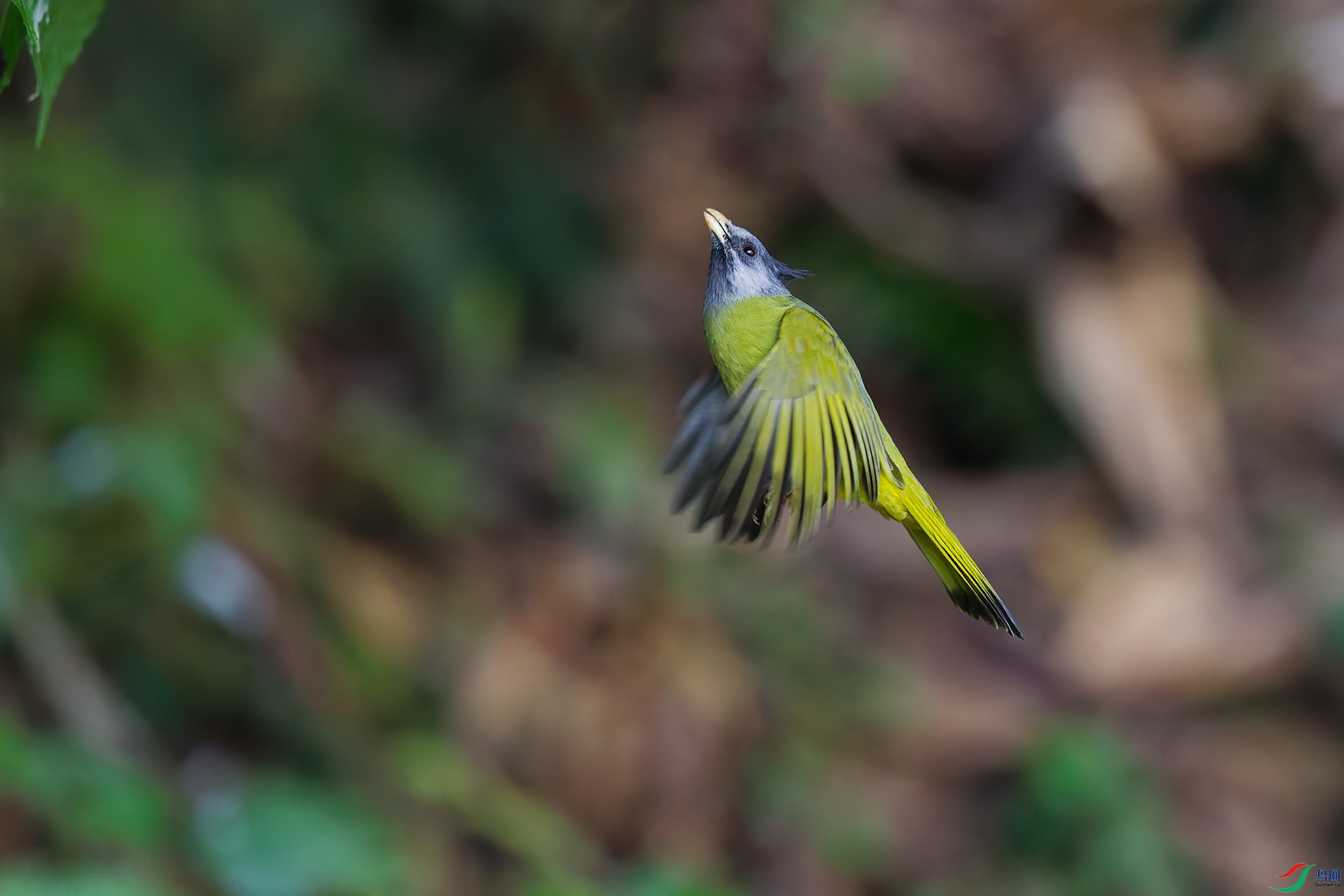 DSC_1682_DxO_DxOa.jpg