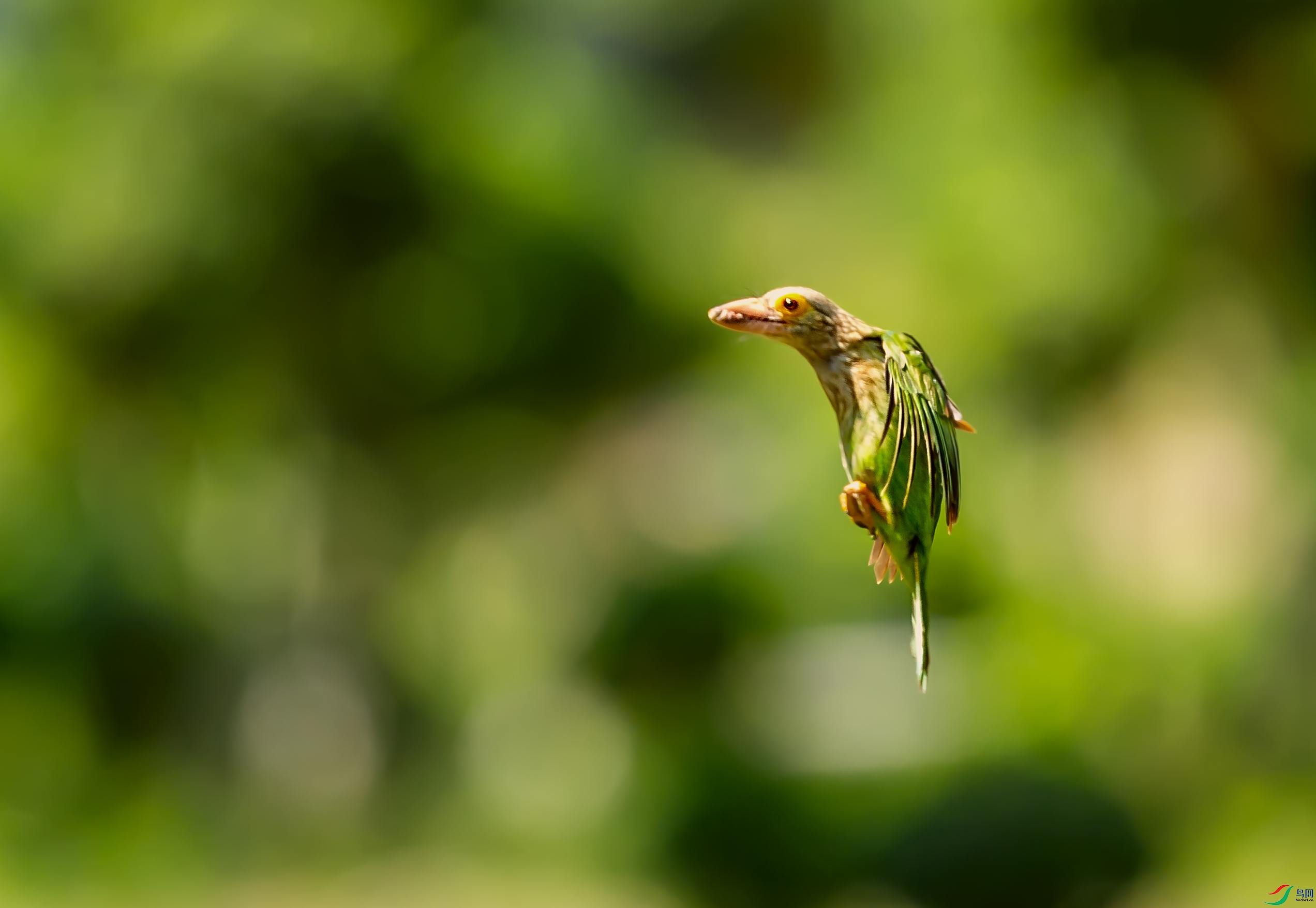 DSC_6045.jpg