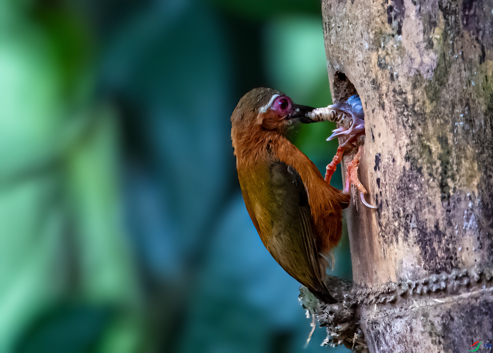 DSC_9374-11.jpg