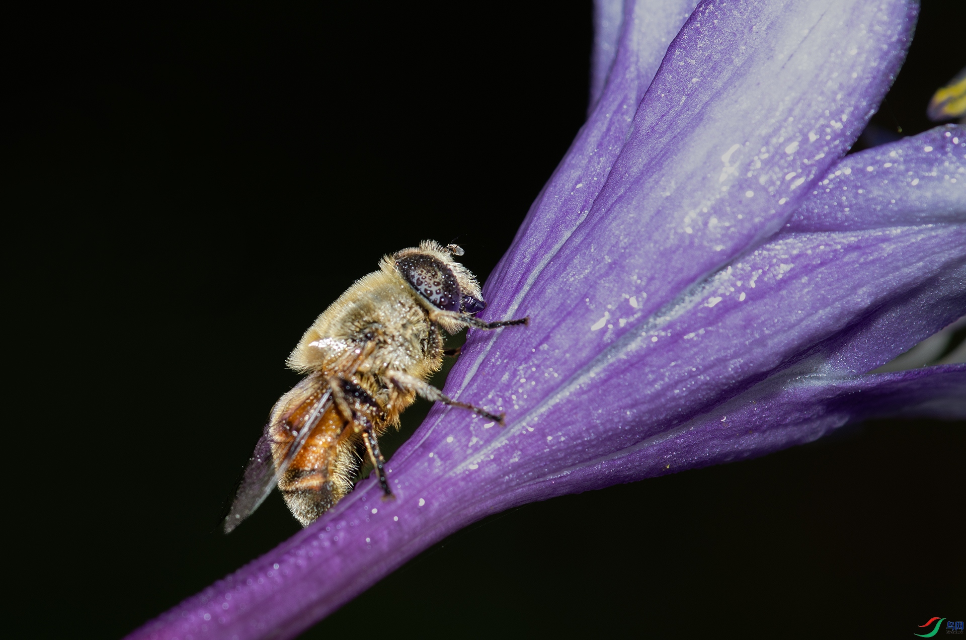 DSC_8901- ʳ��Ӭ aaa.jpg