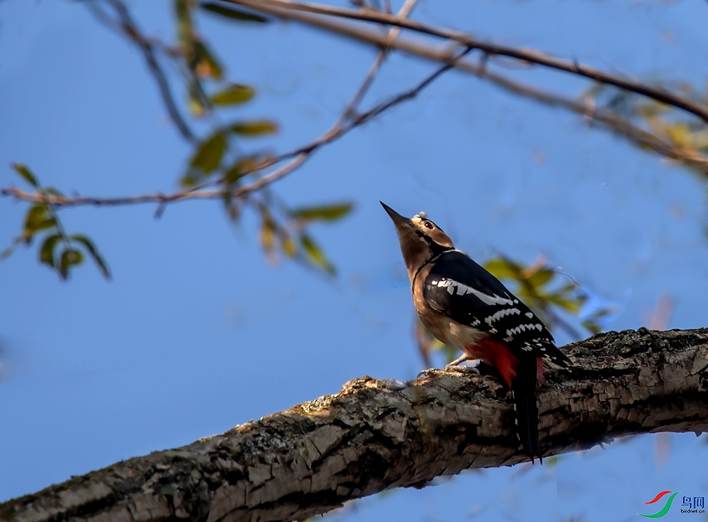 _DSC9793.jpg