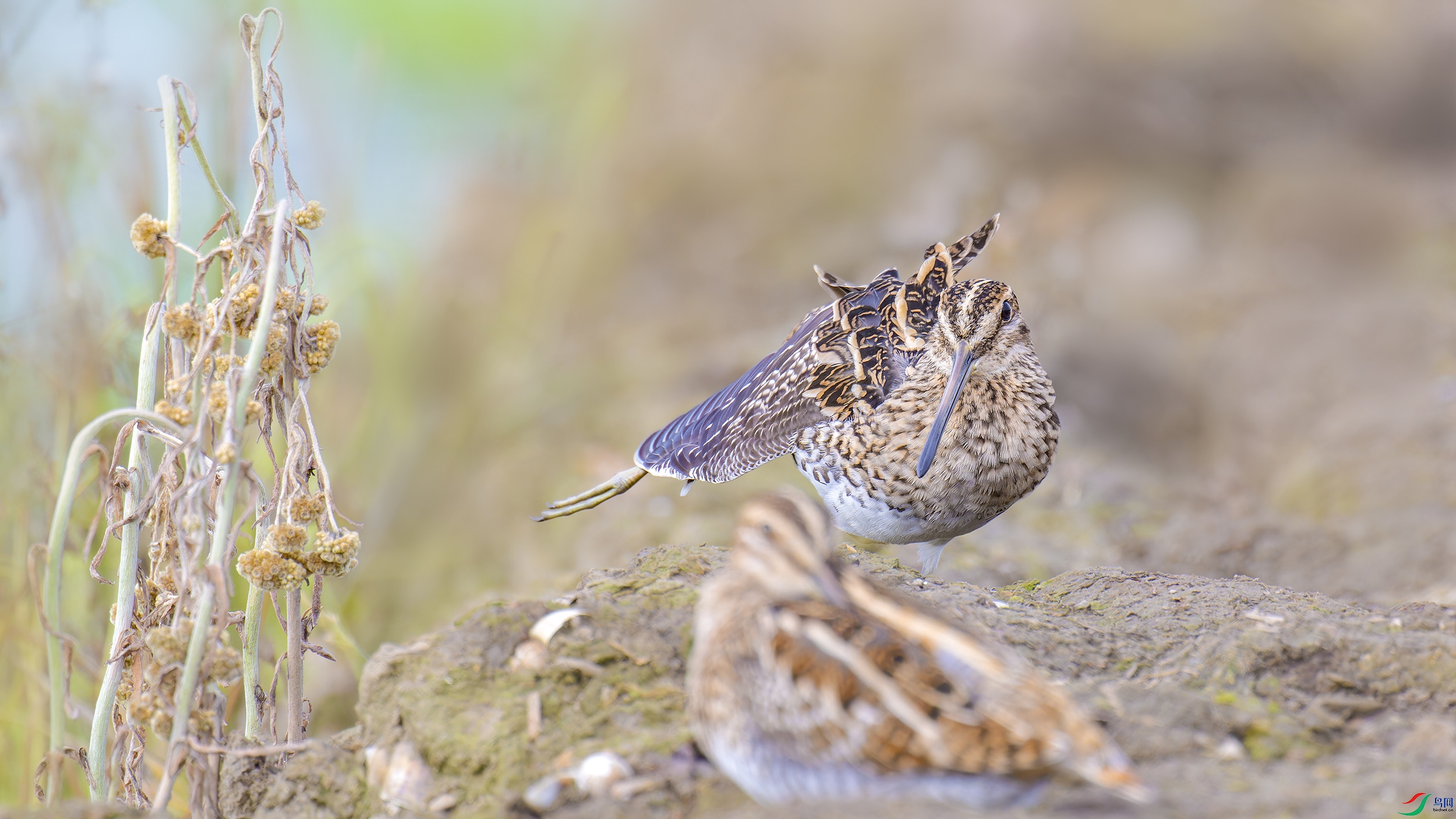 DSC_7876_DxO.jpg