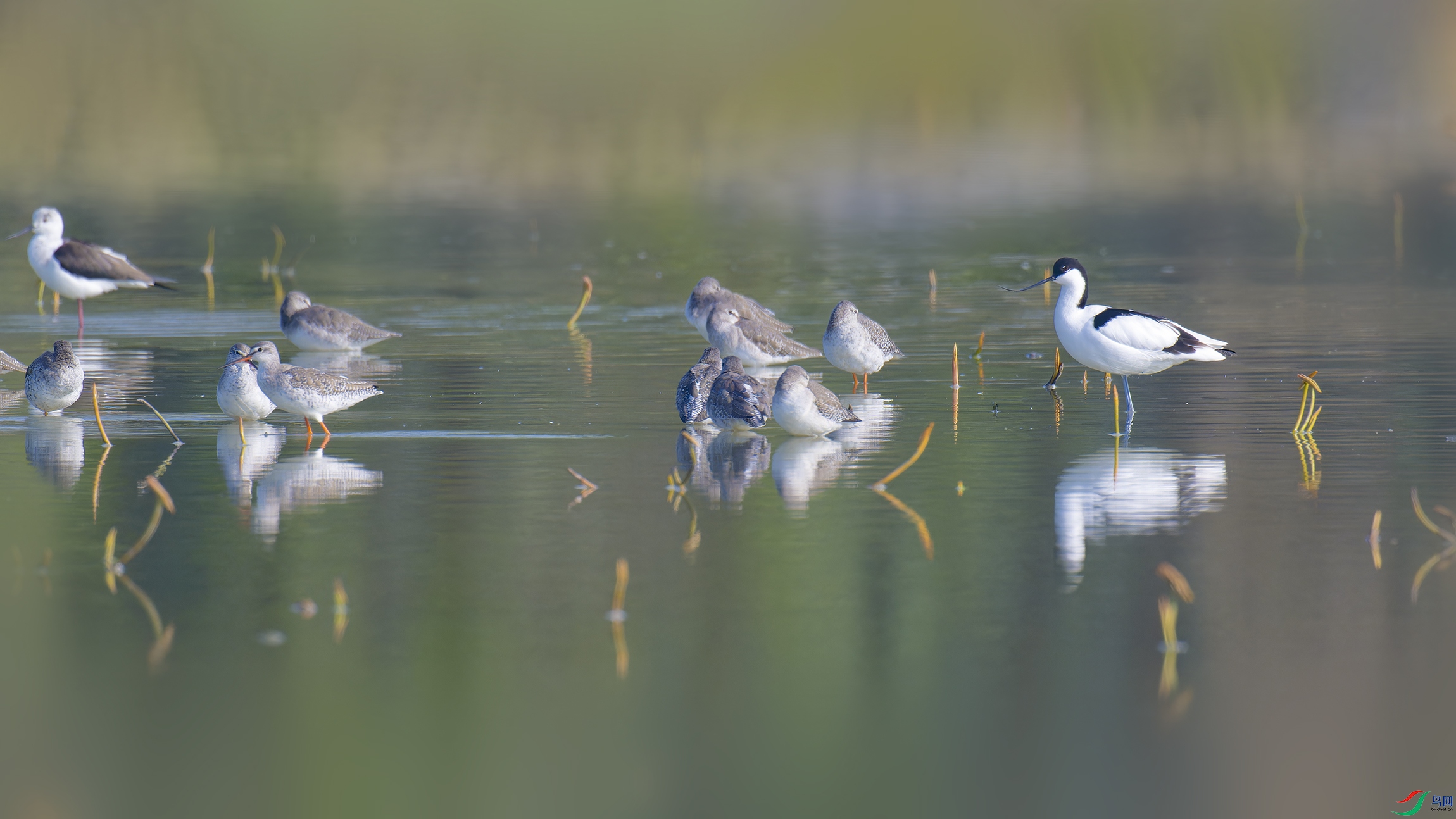 DSC_1547_DxO.jpg