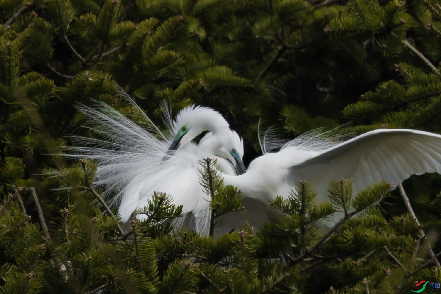 _L3A0783 ����.jpg