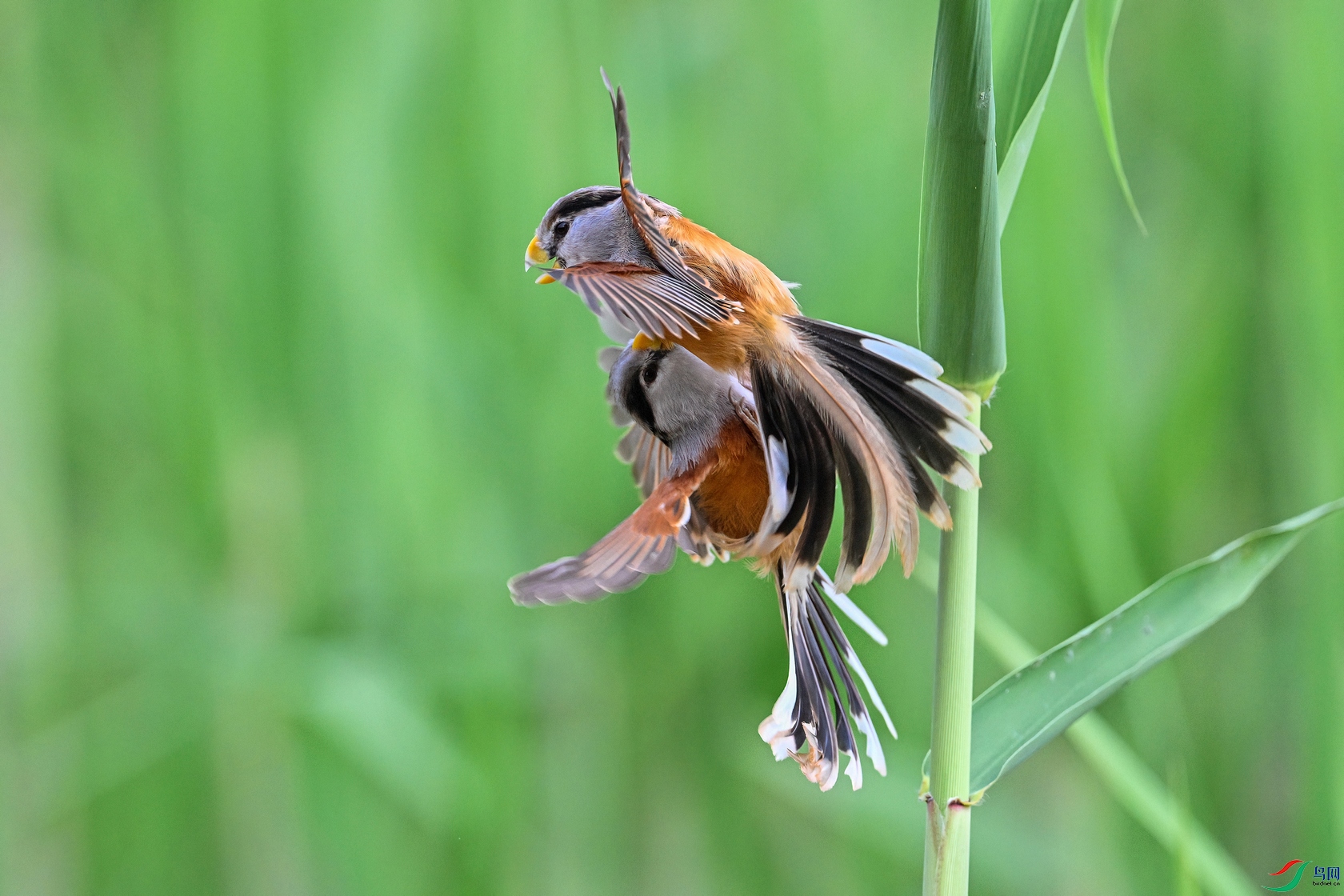 DSC_5289 ����02.jpg