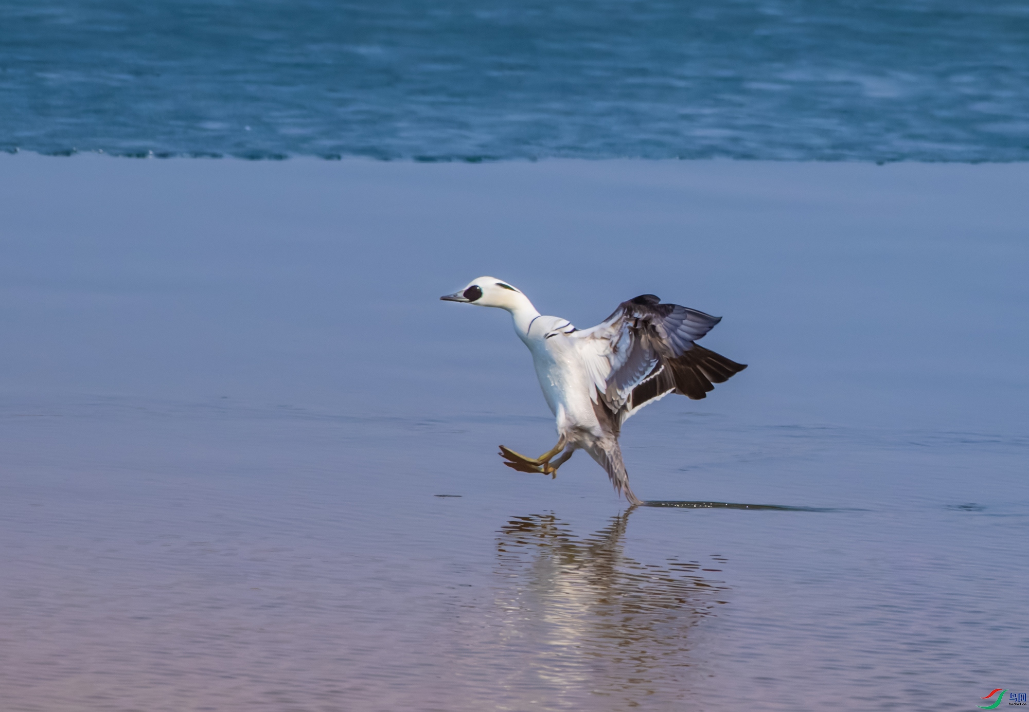 mmexport1773304465532.jpg