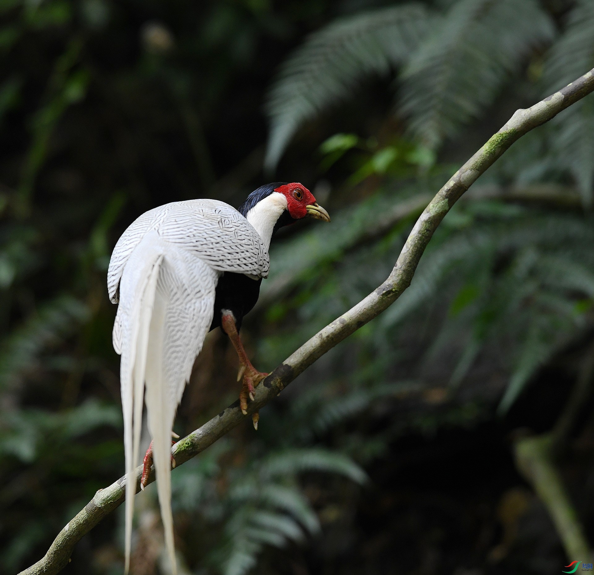 DSC_5954.jpg