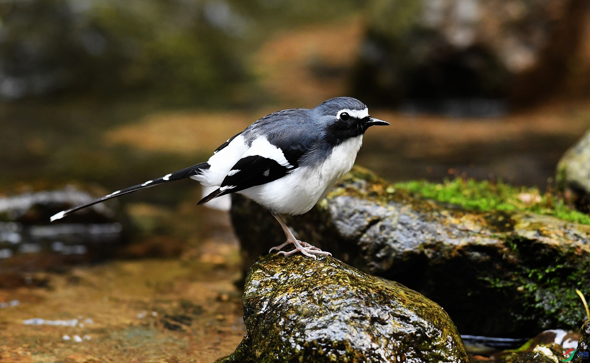 DSC_6646.jpg