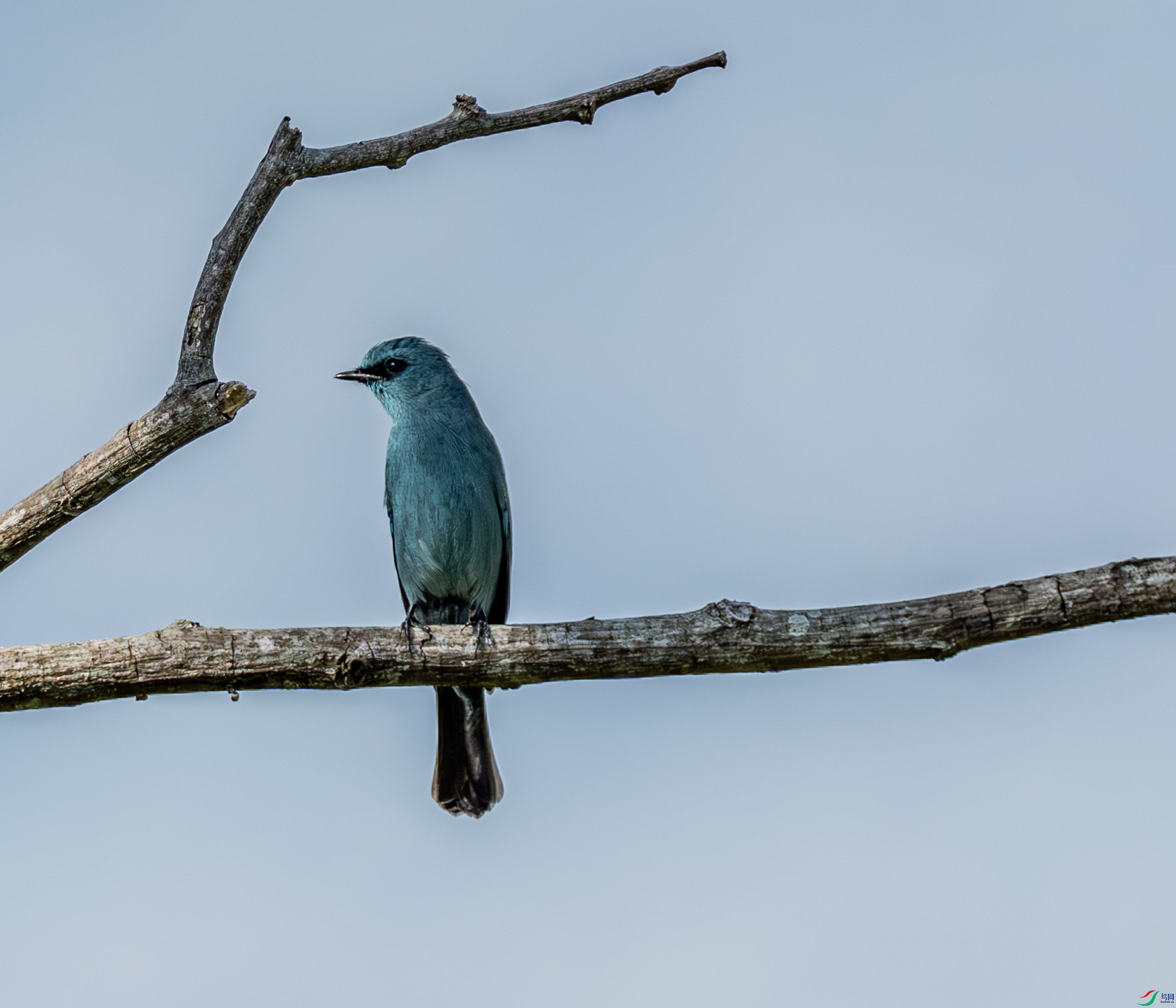 ͭ���l-01-9.jpg