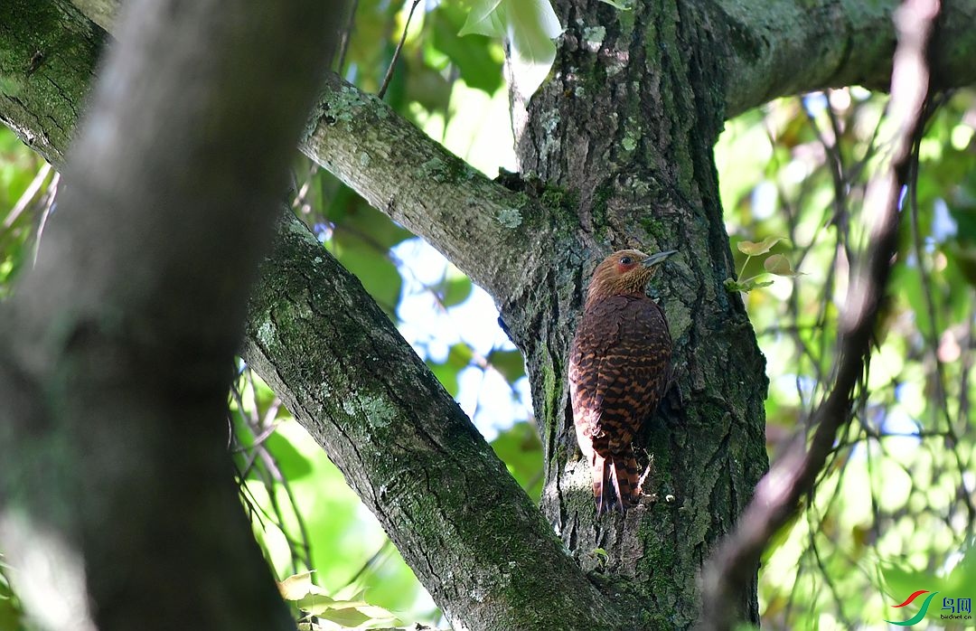 DSC_7782.JPG