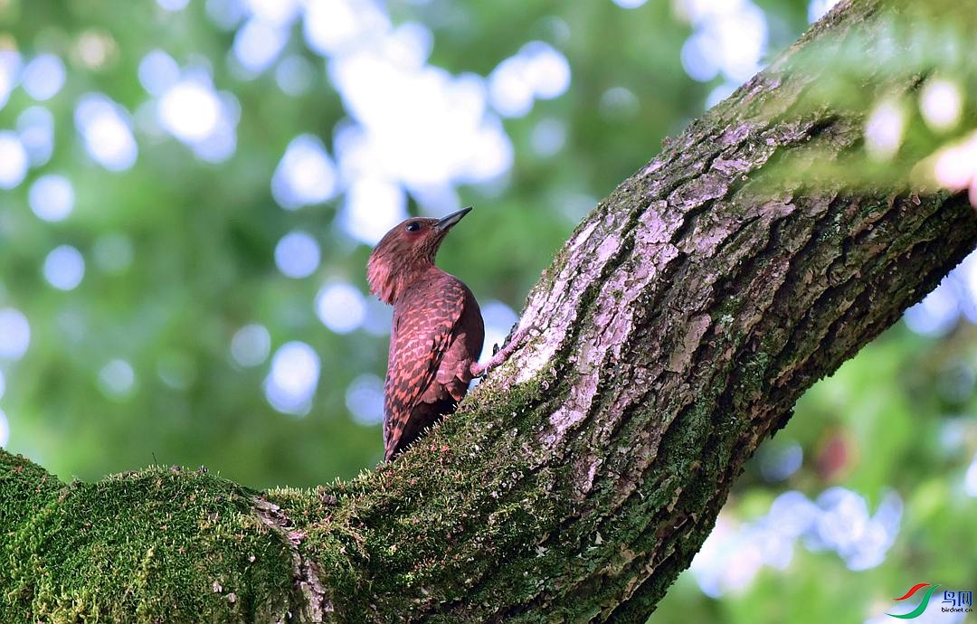 DSC_7768.JPG