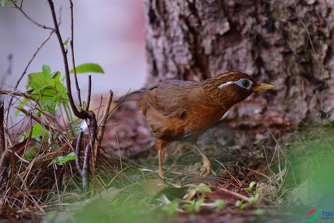 DSC_7761.JPG