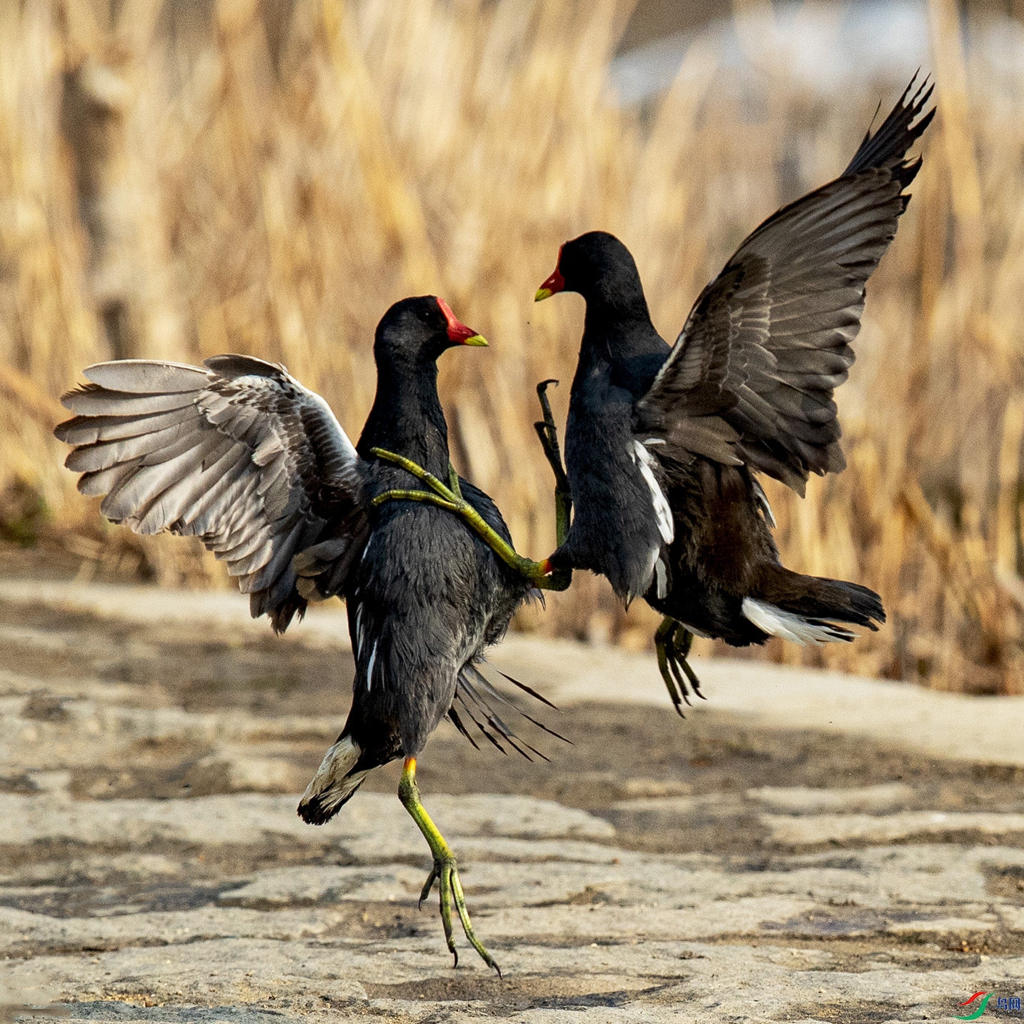 _90I6209 ����.jpg