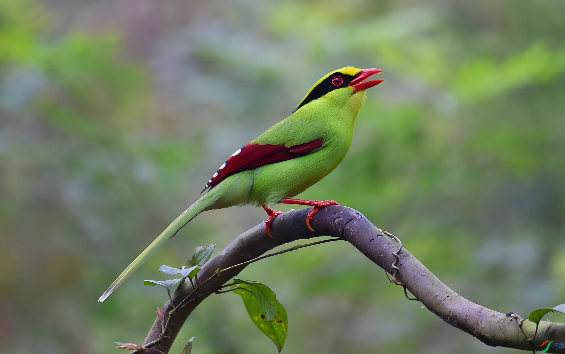 b1713f583bc92d2e4705b1cac3f6d5f_����.jpg