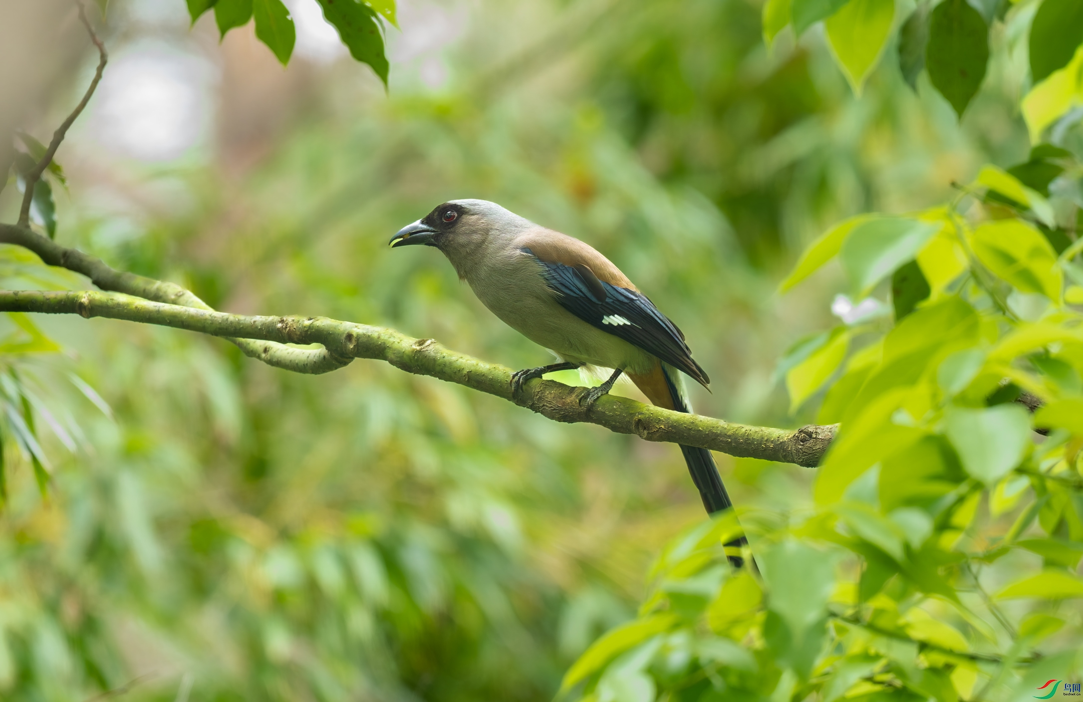 DSC_4892-DxO_DeepPRIME-3.jpg