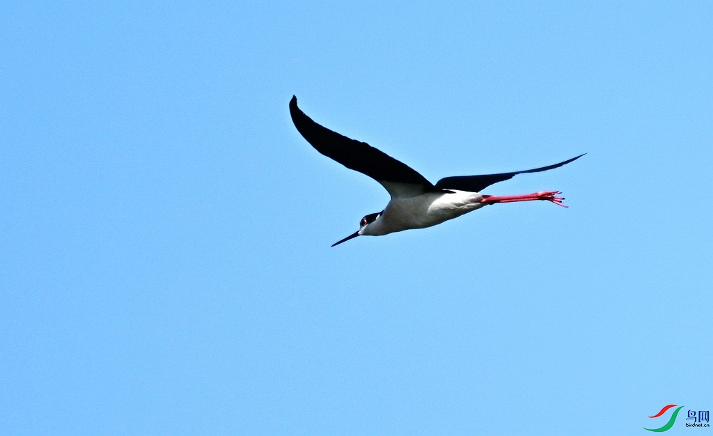 DSC_7233.JPG