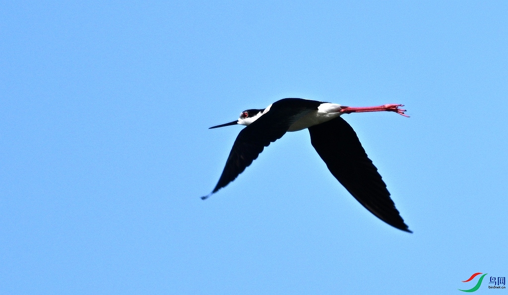 DSC_7234.JPG