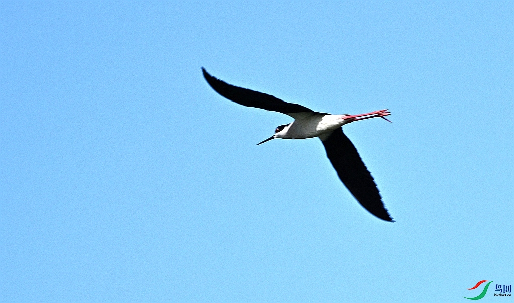 DSC_7243.JPG