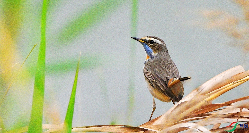 DSC_2614.JPG