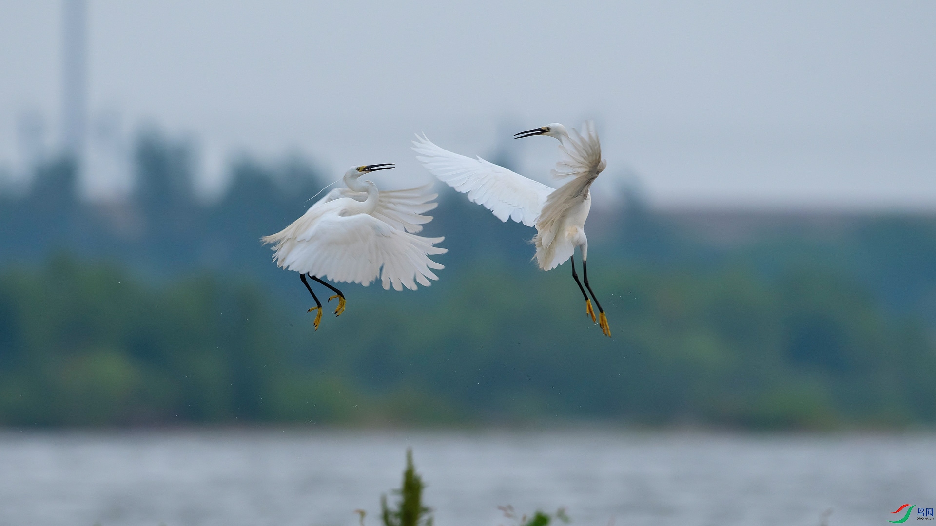 DSC_2616_01.JPG