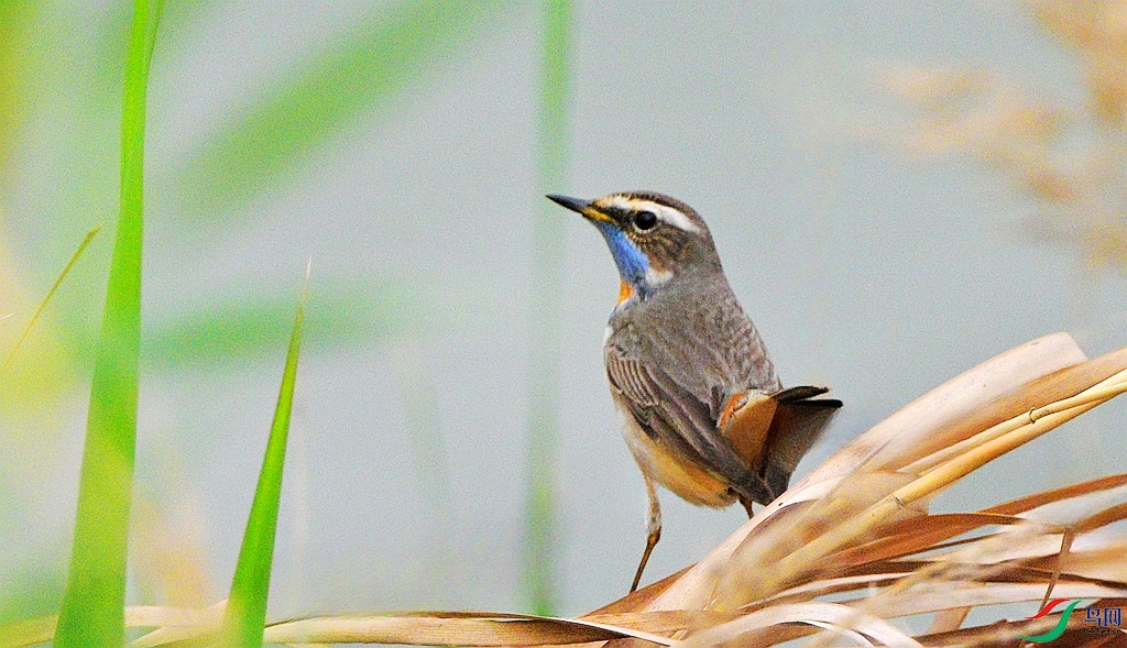 DSC_2617.JPG