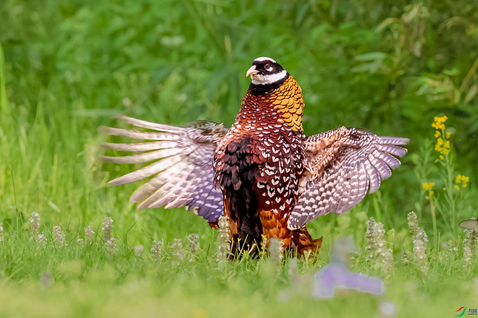 AF3I7646 ����11111.jpg