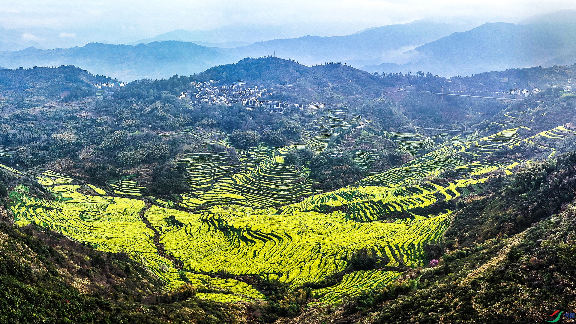 DJI_20260321081108_0016_D ���� 211.jpg