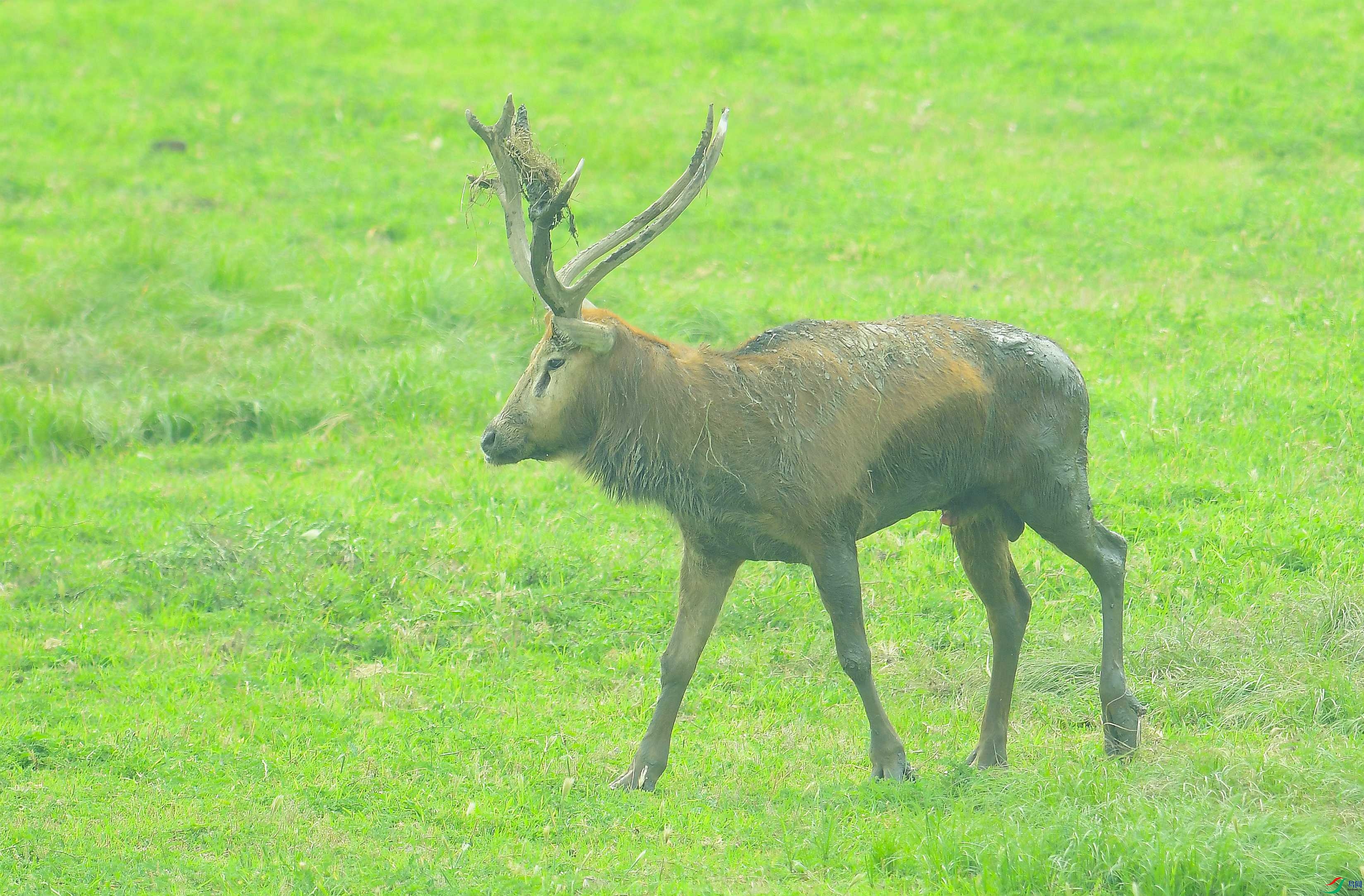 DSC_2404.JPG