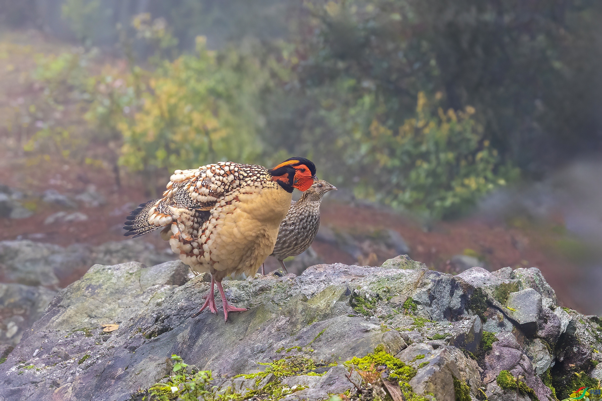 IMG_0577 ���� 2.jpg