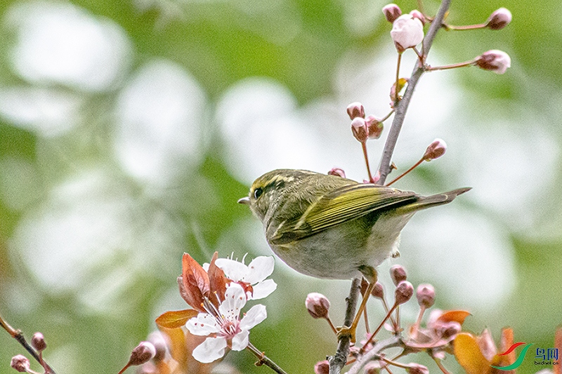 DSC_0884.jpg