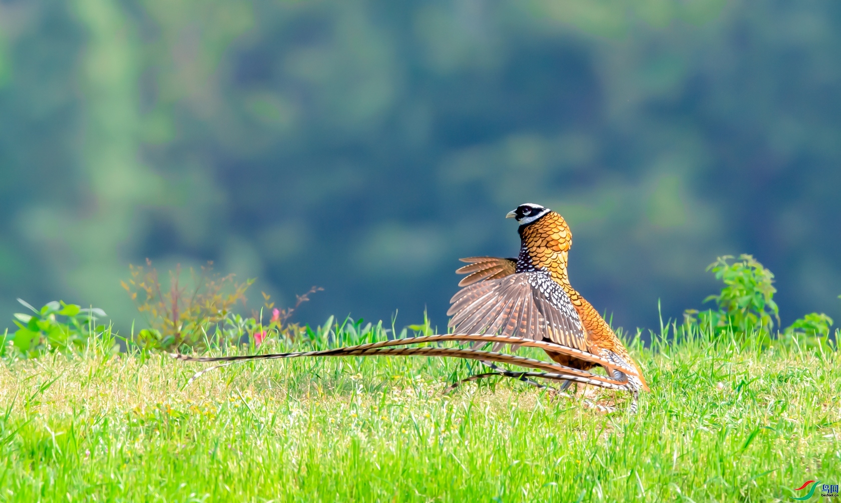 4.16�e���ʦ��Ʒ   ���� ��ף���ٻ����������.jpg