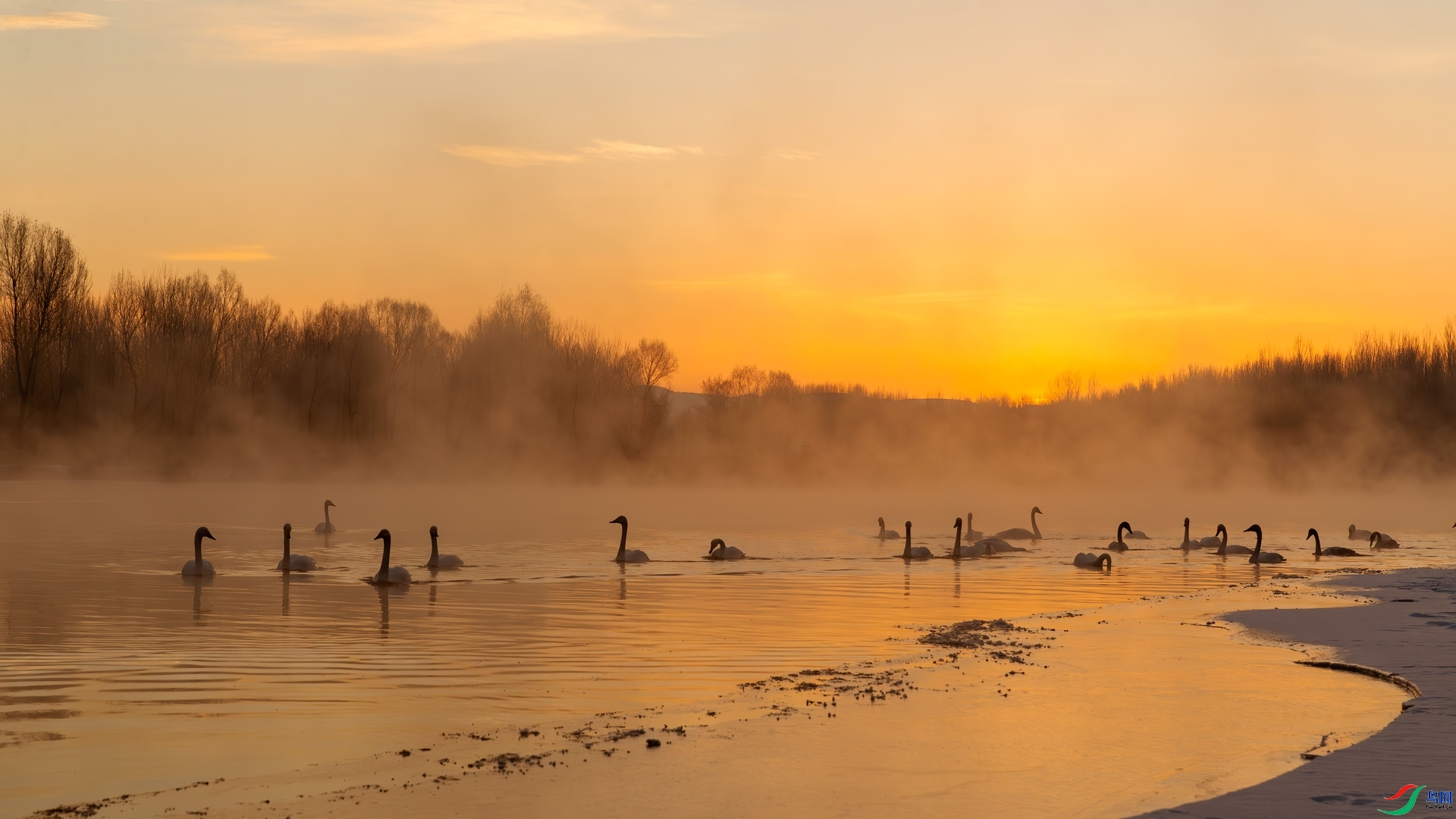 4.17JN���������ʦ��Ʒ   ���� ��ף���ٻ����������.jpg