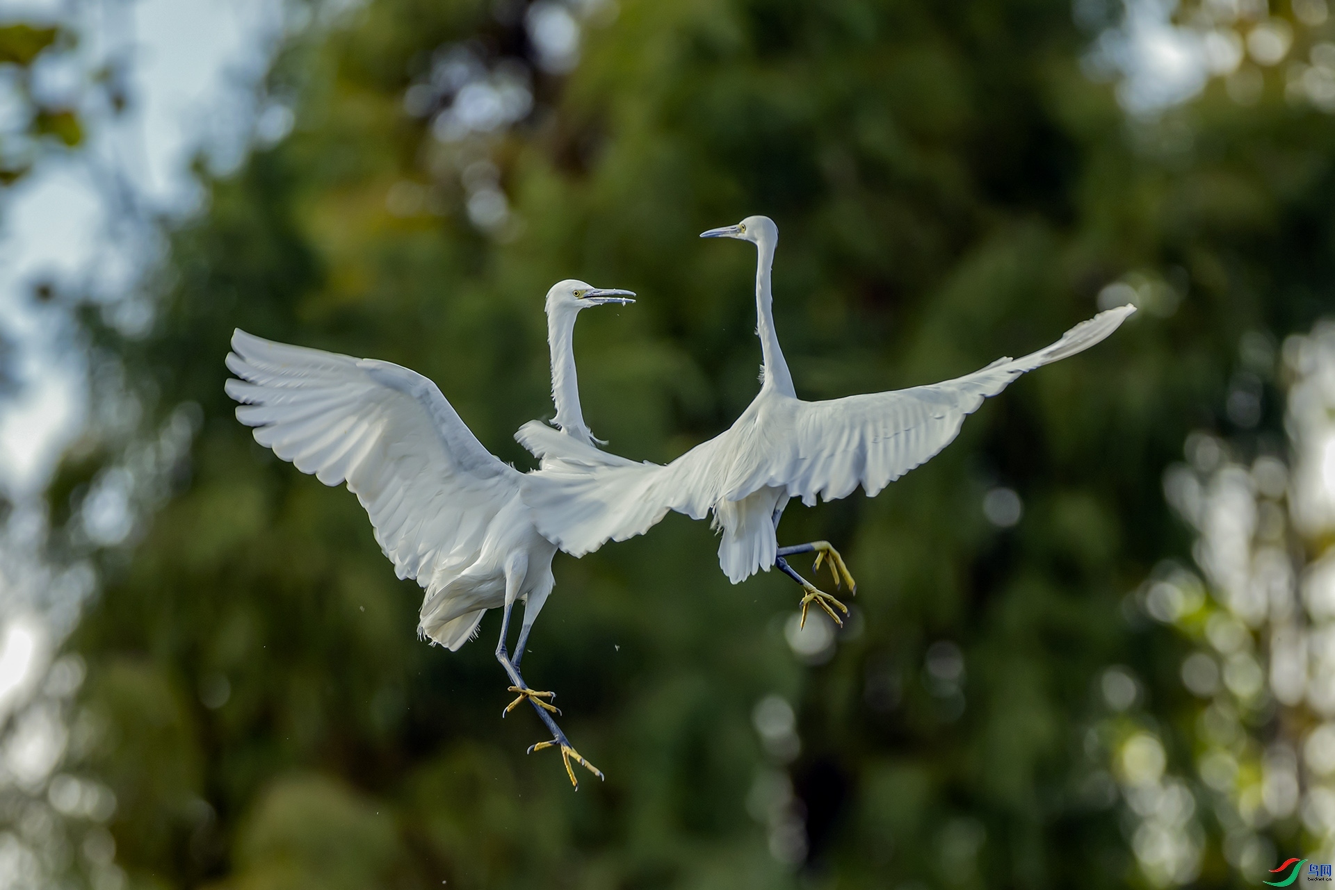 4.17�����Ժ���ʦ��Ʒ  �趷 ��ף���ٻ���Ӱʦ������.jpg