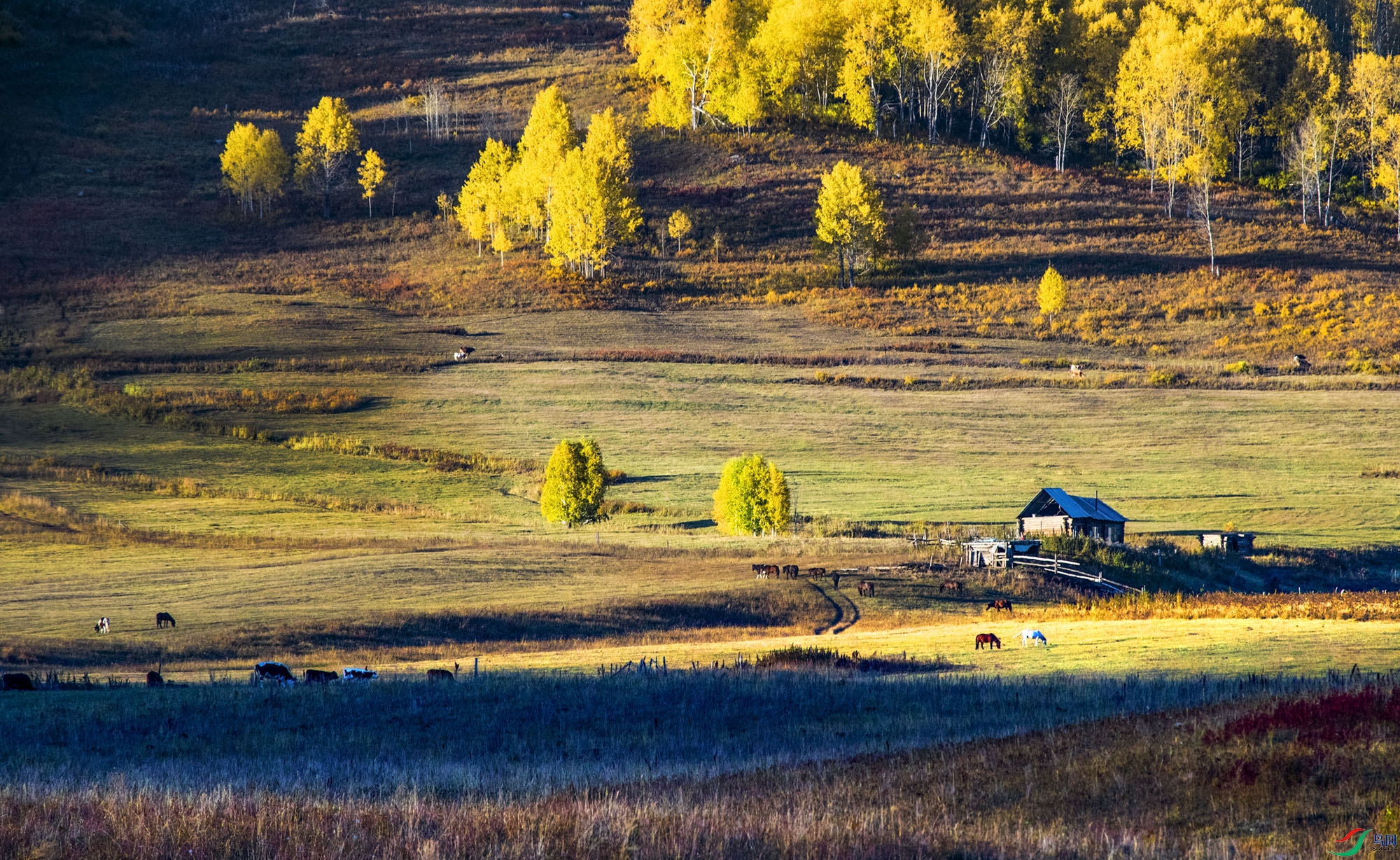 _S7I3583--11  .jpg