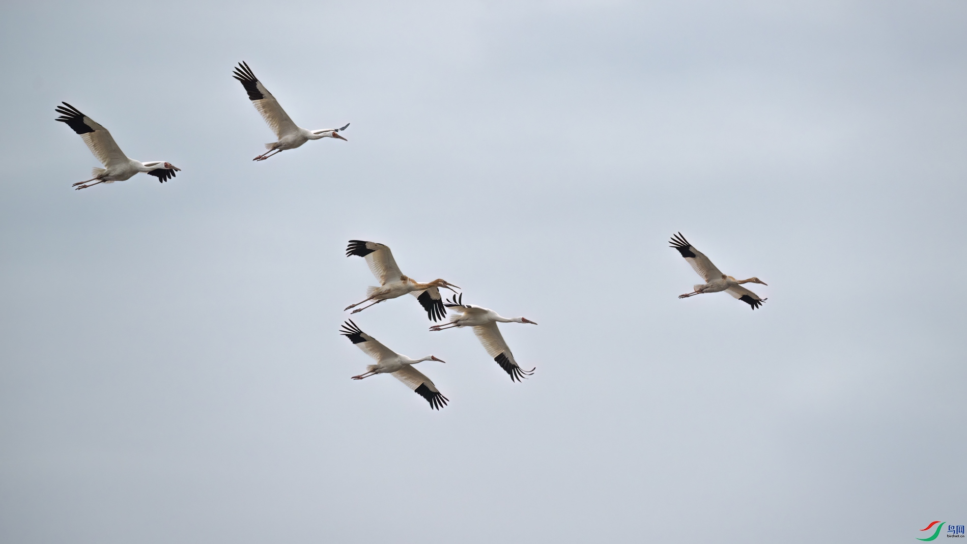 DSC_1751sen2026-2-27-160-�༭.jpg