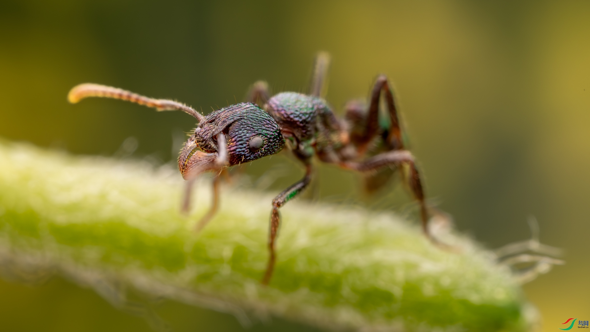 _16A3625-1.jpg