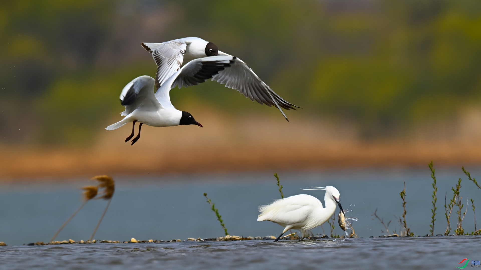 DSC_9066_��ͼ�� ����.jpg