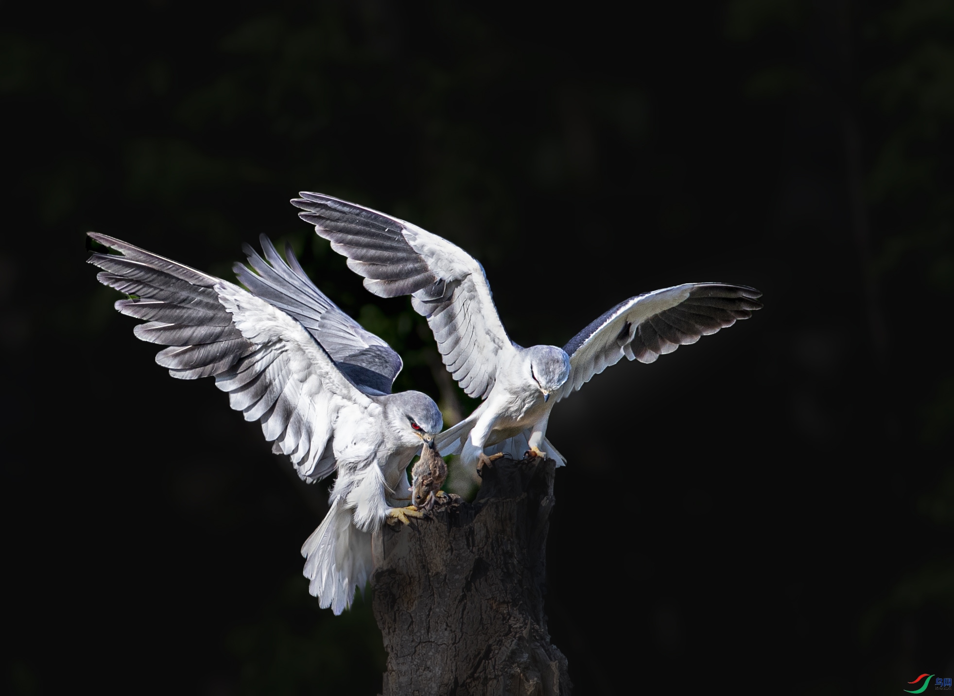 A79I5668 ����.jpg