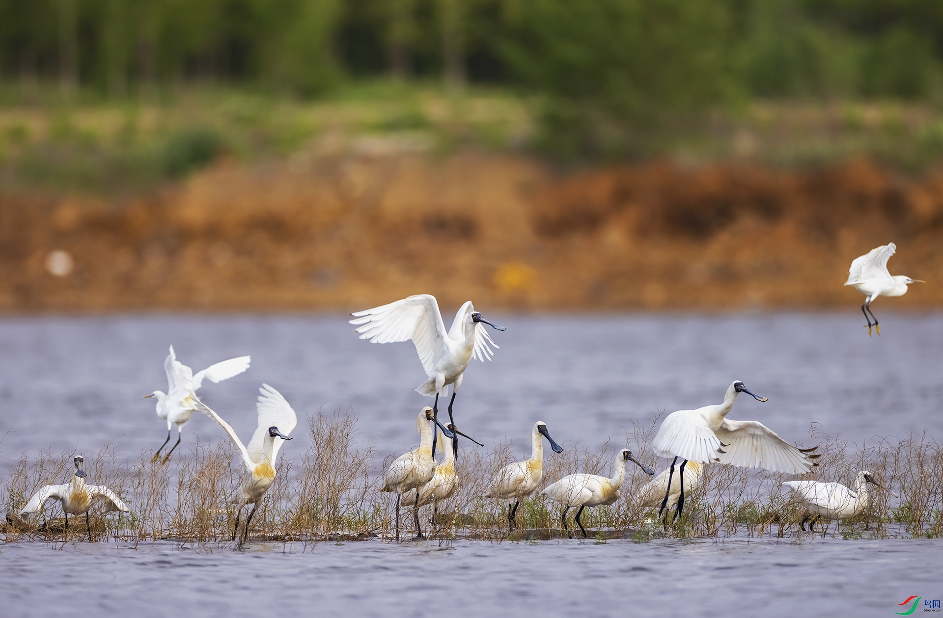 _78A0978.jpg