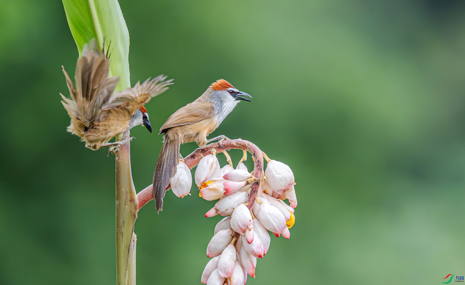 6I8370 ����.jpg